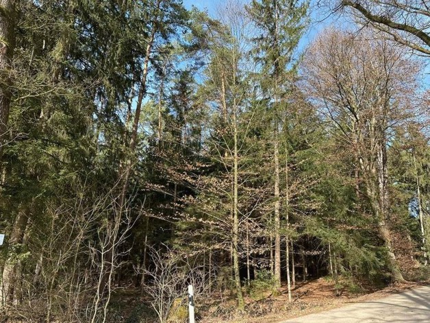 Waldgrundstück Ebersberg 18 ha - Grundstück Edling | Angebot:24604794