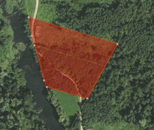 Auwald in der Vogtareuther Au - Grundstück Vogtareuth | Angebot:25451066