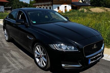 Jaguar XF 52.005 km 19.990 &euro; Übersee 83236