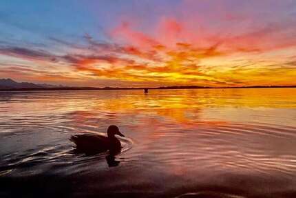 Wohnung Prien am Chiemsee - 5 Zimmer, 166 m&sup2;, 1.632.000&euro; | Angebot:26177939