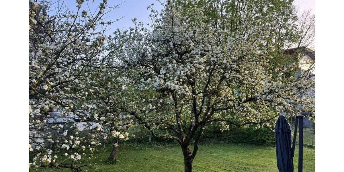 Mehrfamilienhaus, Wohnhaus Rosenheim West - 1 Zimmer, 262 m&sup2;, 1.790.000&euro; | Angebot:25775944