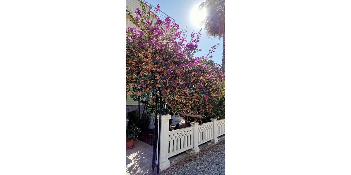 Doppelhaushälfte Schliersee - 4 Zimmer, 120 m&sup2;, 170.000&euro; | Angebot:25712503