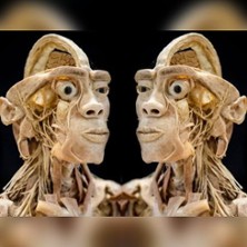 Ausstellung ECHTE KÖRPER 12.04.2026 Ballhaus Rosenheim