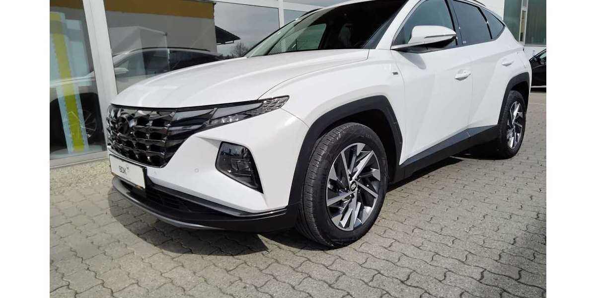 Hyundai TUCSON 91.500 km 19.450 &euro; Tuntenhausen 83104