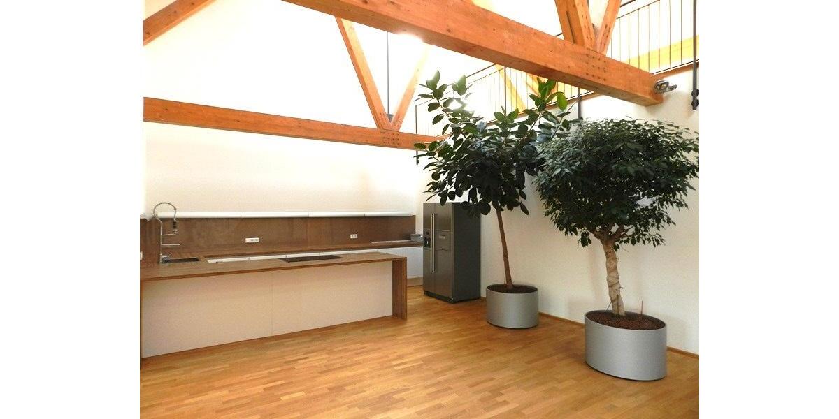 Loft - Studio - Atelier Oberpframmern - 3.5 Zimmer, 225 m&sup2;, 2.900&euro; | Angebot:25638265