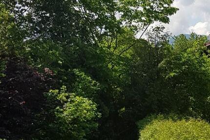 Wohnung Staudach-Egerndach Egerndach - 2 Zimmer, 50 m&sup2;, 600&euro; | Angebot:24306330