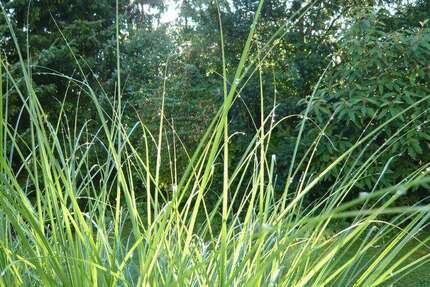 Grundstück Egmating - 550.000&euro; | Angebot:23569342