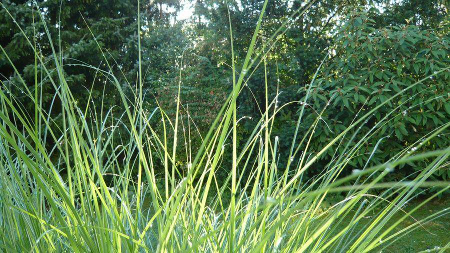 Grundstück Egmating - 550.000&euro; | Angebot:23569342