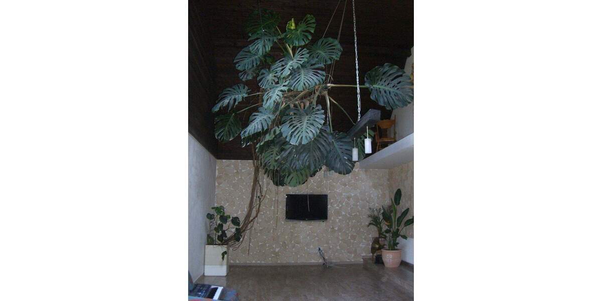 Einfamilienhaus Egmating - 6 Zimmer, 202 m&sup2;, 1.120.000&euro; | Angebot:25713710