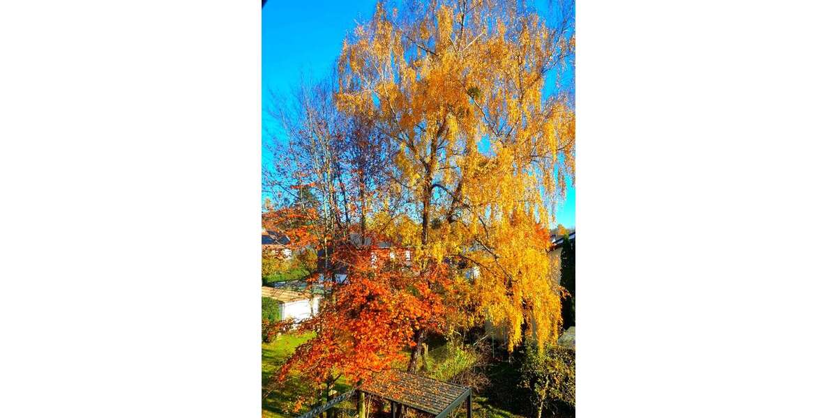 Etagenwohnung Kirchseeon - 3 Zimmer, 74 m&sup2;, 337.500&euro; | Angebot:25815151