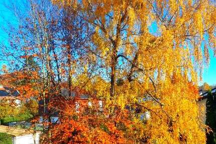 Wohnung Kirchseeon - 3 Zimmer, 74 m&sup2;, 337.500&euro; | Angebot:25815151