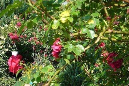 Haus Bruckmühl Hinrichssegen - 6 Zimmer, 200 m&sup2;, 640.000&euro; | Angebot:25938482