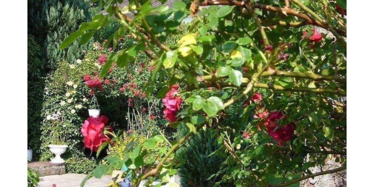 Mehrfamilienhaus, Wohnhaus Bruckmühl Hinrichssegen - 6 Zimmer, 200 m&sup2;, 640.000&euro; | Angebot:25938482