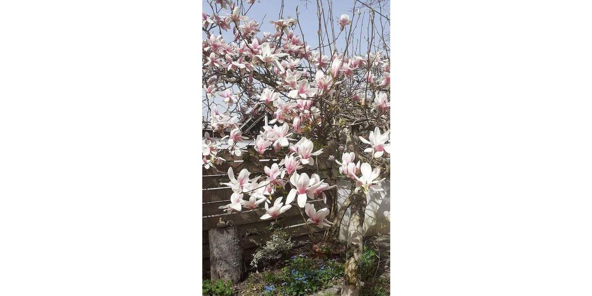 Einfamilienhaus Egmating - 6 Zimmer, 202 m&sup2;, 1.120.000&euro; | Angebot:25713710