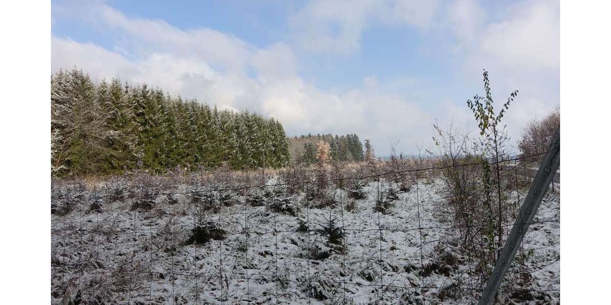 Grundstück Schnaitsee - 80.000&euro; | Angebot:26066212