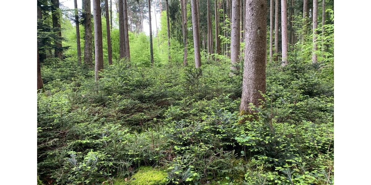 Bauernhaus, Landhaus Ebersberg - 3.400.000&euro; | Angebot:26739468
