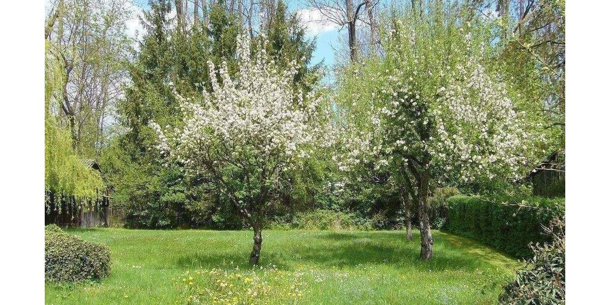 Mehrfamilienhaus, Wohnhaus Bruckmühl Hinrichssegen - 6 Zimmer, 200 m&sup2;, 640.000&euro; | Angebot:25938482