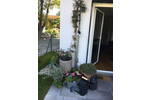 Reihenendhaus Bad Aibling - 4 Zimmer, 116 m&sup2;, 785.000&euro; | Angebot:26790518