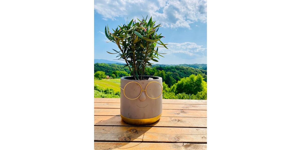 Einfamilienhaus Rosenheim Innenstadt - 1 Zimmer, 30 m&sup2;, 159.000&euro; | Angebot:25304969