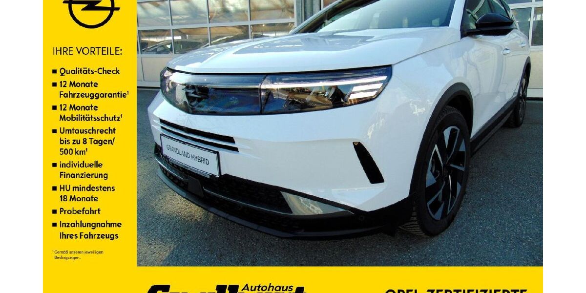 Opel Grandland (X) 1.500 km 32.990 &euro; Beyharting 83104