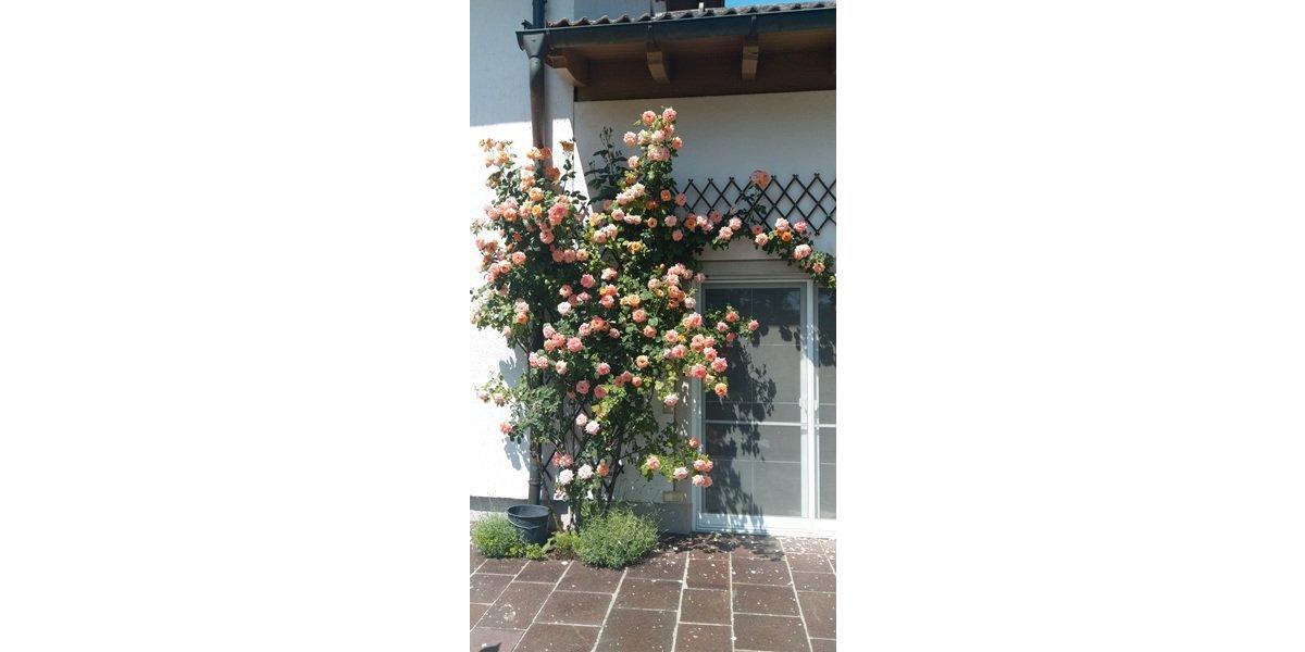 Etagenwohnung Söchtenau - 2 Zimmer, 135 m&sup2;, 533.000&euro; | Angebot:26247607