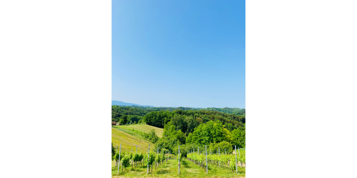 Einfamilienhaus Rosenheim Innenstadt - 1 Zimmer, 30 m&sup2;, 159.000&euro; | Angebot:25304969