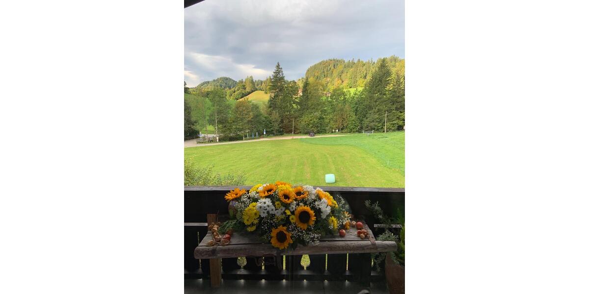 Etagenwohnung Aschau im Chiemgau - 1 Zimmer, 25 m&sup2;, 165.000&euro; | Angebot:25983567