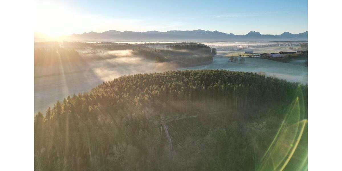 Grundstück Vogtareuth - 800.000&euro; | Angebot:24207113