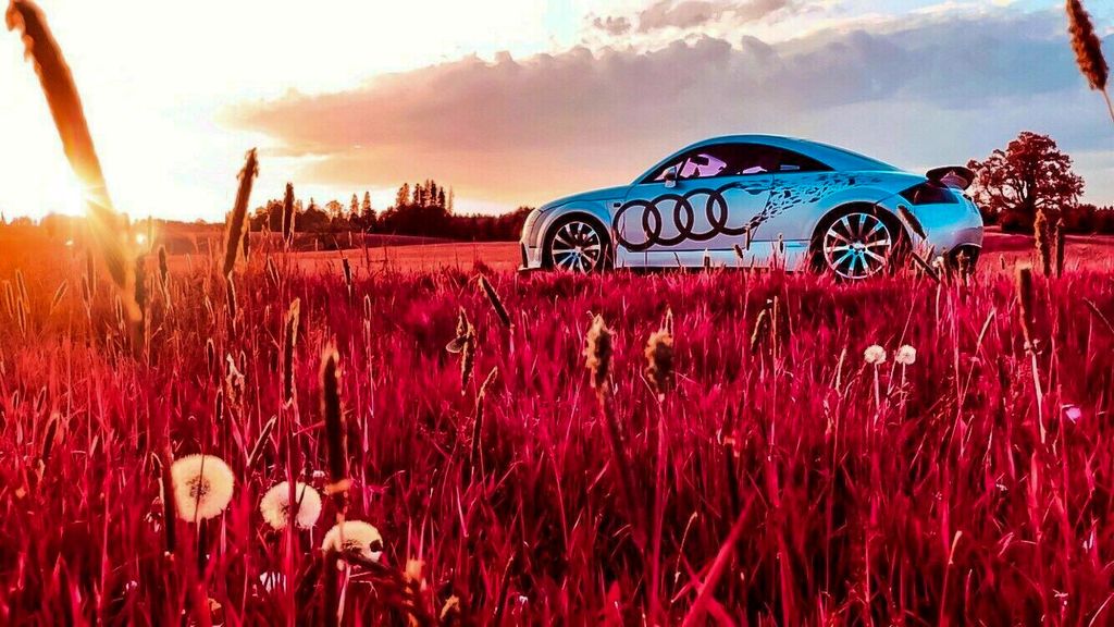 Audi TT 200.000 km 6.500 &euro; Rosenheim 83026