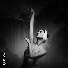 Grand Classic Ballet - Schwanensee - Jenseits der Bühne mit live Streichquartett 15.10.2026 Kurhaus Bad Aibling