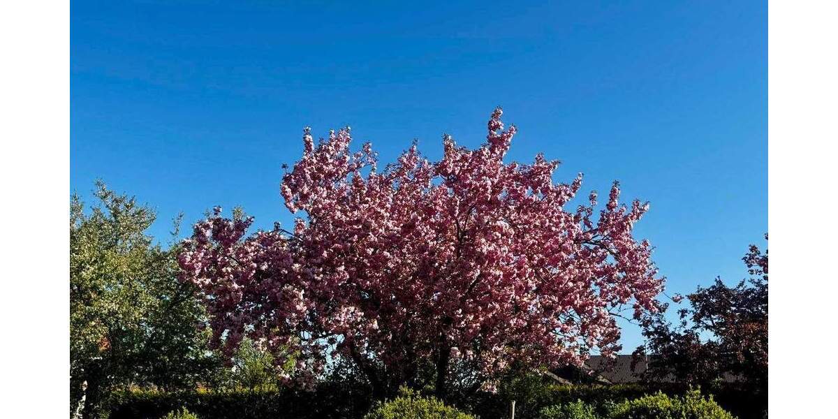 Grundstück Valley / Oberlaindern Oberlaindern - 4.000.000&euro; | Angebot:25688747