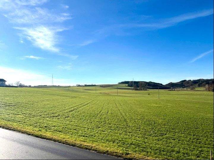 Doppelhaushälfte Grafing Pienzenau - 5 Zimmer, 150 m&sup2;, 745.000&euro; | Angebot:25667879