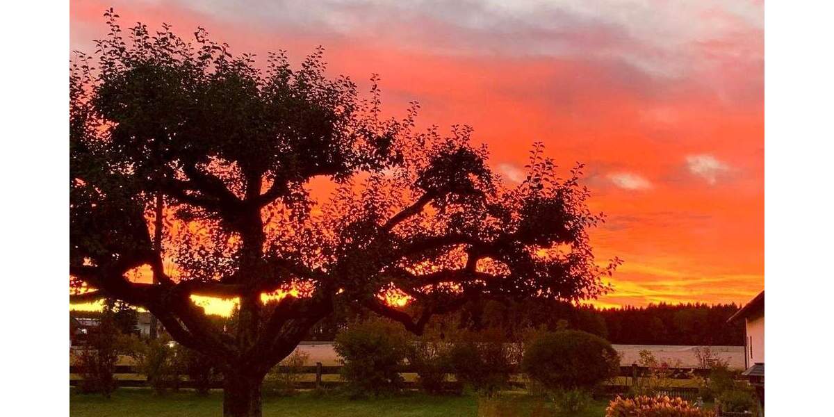 Grundstück Valley / Oberlaindern Oberlaindern - 4.000.000&euro; | Angebot:25688747