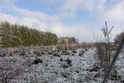 Grundstück Schnaitsee - 80.000&euro; | Angebot:26066192