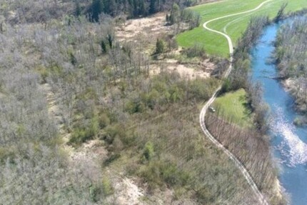 Auwald in der Vogtareuther Au - Grundstück Vogtareuth | Angebot:25451066