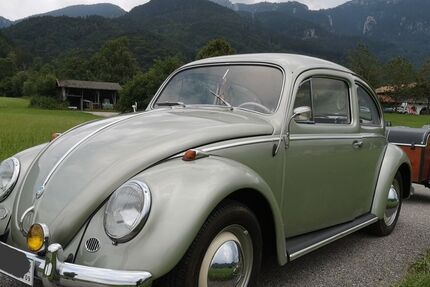 VW Käfer 2.330 km 34.000 &euro; Neubeuern 83115