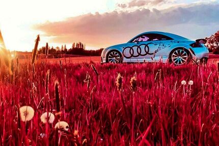 Audi TT 202.000 km 6.000 &euro; Rosenheim 83026