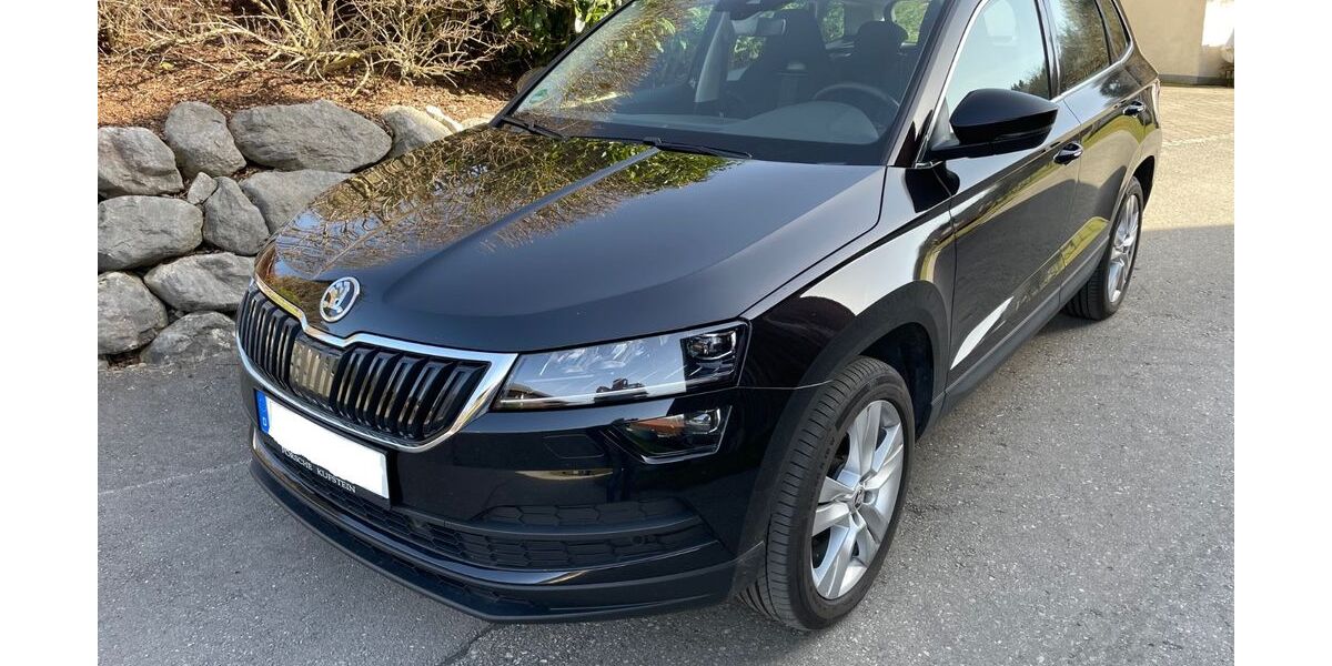 Skoda Karoq 106.100 km 18.700 &euro; Irschenberg 83737