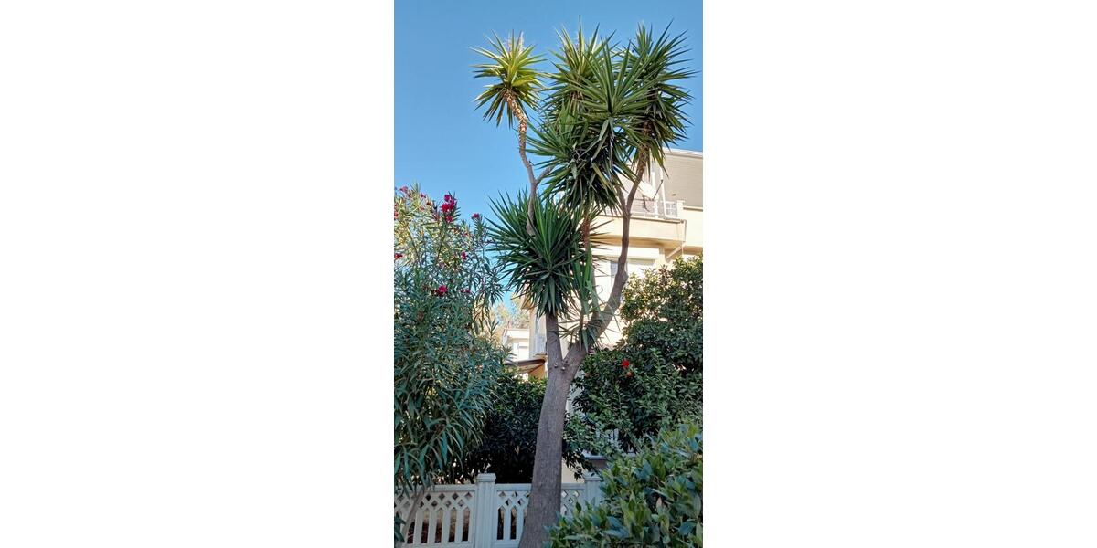 Doppelhaushälfte Schliersee - 4 Zimmer, 120 m&sup2;, 170.000&euro; | Angebot:25712503