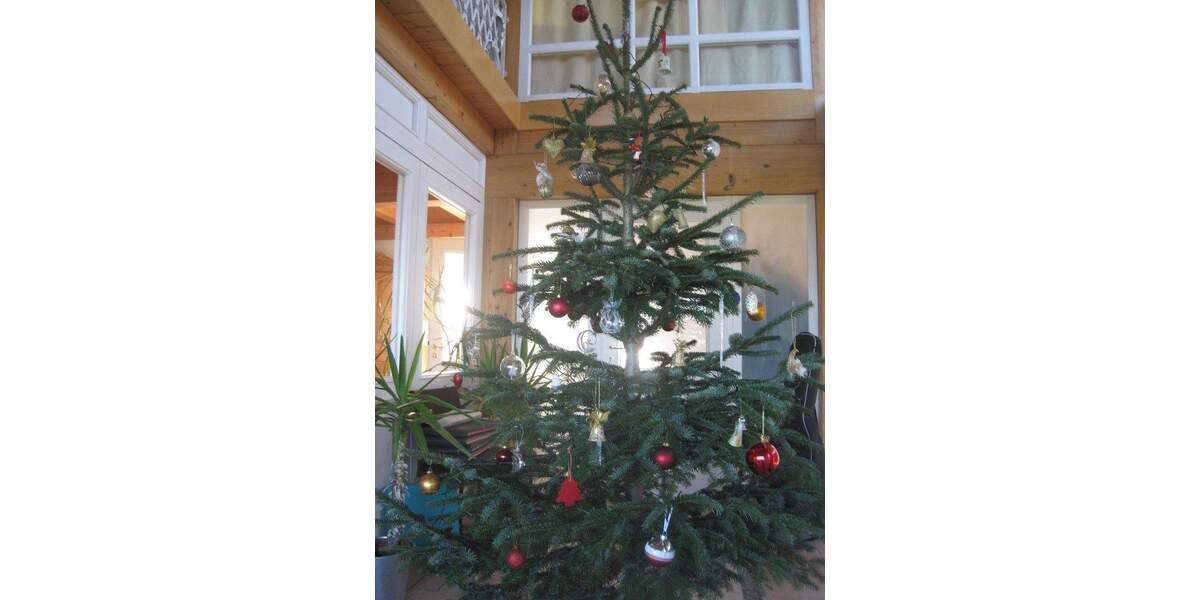 Mehrfamilienhaus, Wohnhaus Halfing - 9 Zimmer, 258 m&sup2;, 1.390.000&euro; | Angebot:25734754