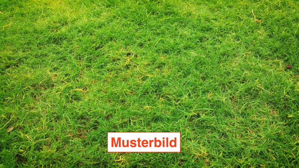 Grundstück Rosenheim Egarten - 705.000&euro; | Angebot:26094524