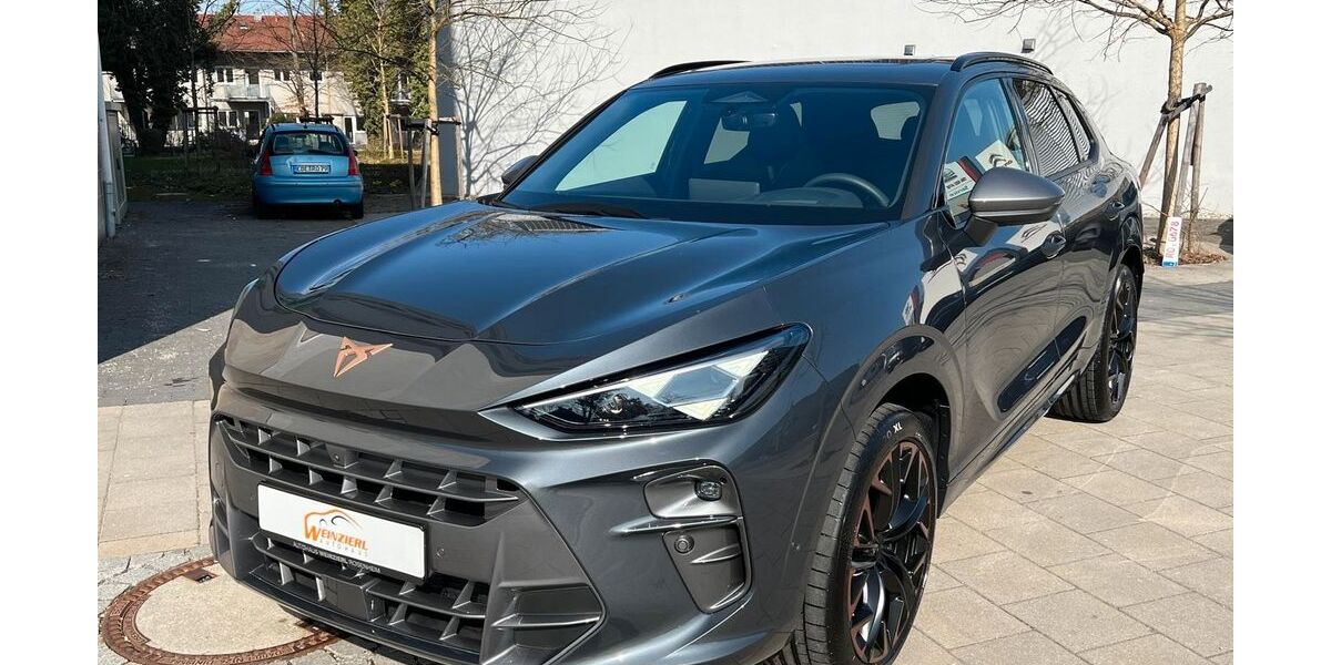 Cupra Terramar 3.500 km 46.190 &euro; Rosenheim 83022