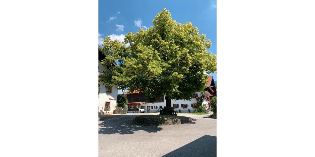 Etagenwohnung Samerberg - 3 Zimmer, 92 m&sup2;, 1.650&euro; | Angebot:25883166