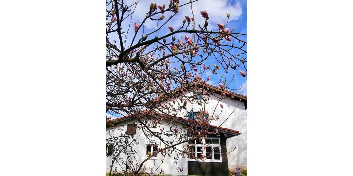 Mehrfamilienhaus, Wohnhaus Frasdorf - 8 Zimmer, 173 m&sup2;, 680.000&euro; | Angebot:26072940