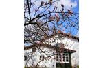 Mehrfamilienhaus, Wohnhaus Frasdorf - 8 Zimmer, 173 m&sup2;, 680.000&euro; | Angebot:26072940