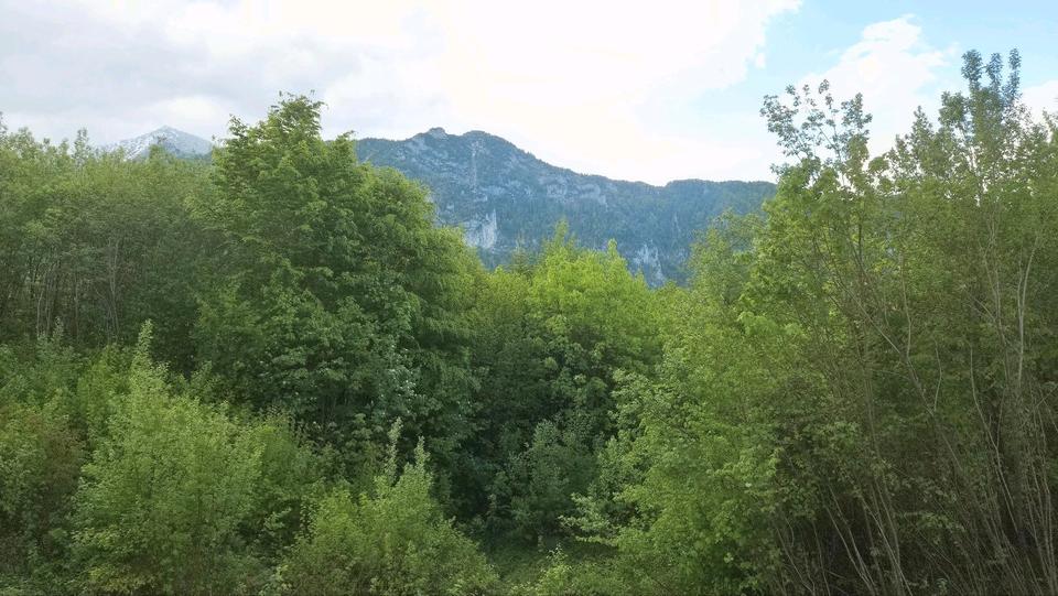 Etagenwohnung Staudach-Egerndach Egerndach - 2 Zimmer, 40 m&sup2;, 500&euro; | Angebot:26611696