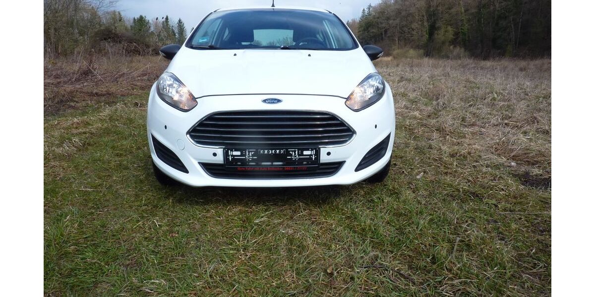 Ford Fiesta 80.450 km 4.800 &euro; Stephanskirchen 83071