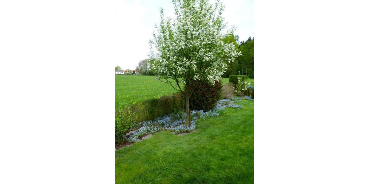 Doppelhaushälfte Bernau am Chiemsee - 6 Zimmer, 160 m&sup2;, 1.190.000&euro; | Angebot:24489265