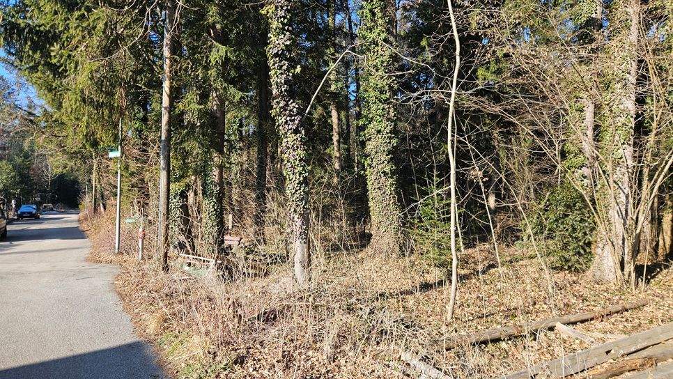 Grundstück Brannenburg - 248.000&euro; | Angebot:25682787