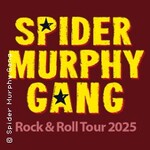Spider Murphy Gang - rock'n roll